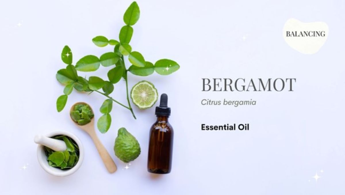 Aromatherapy: 3 Natural Bergamot Essential Oil Benefits and Uses